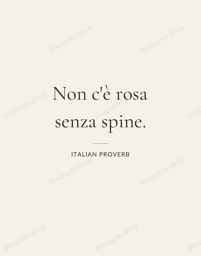 Non c'è rosa senza spine. — Italian Proverb — Gallery Rule
