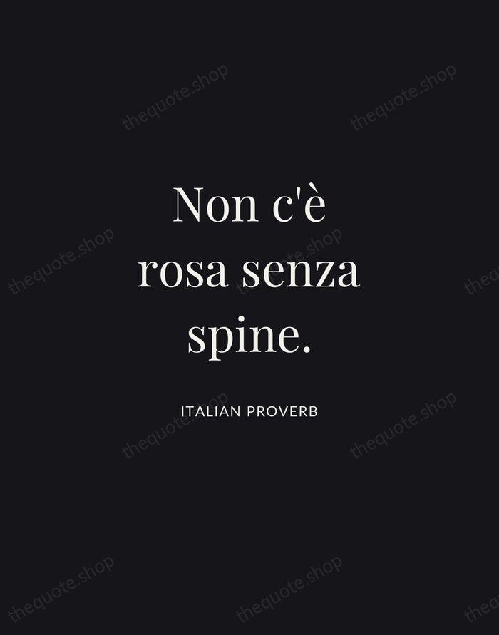 Non c'è rosa senza spine. — Italian Proverb | Printable Wall Art — Midnight Serif