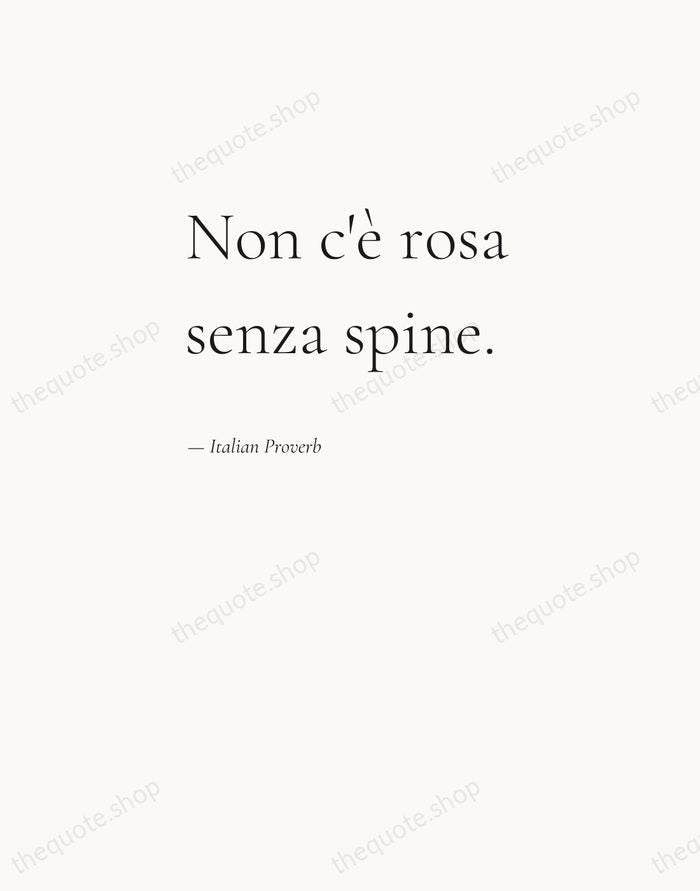 Non c'è rosa senza spine. — Italian Proverb — Editorial Left Serif
