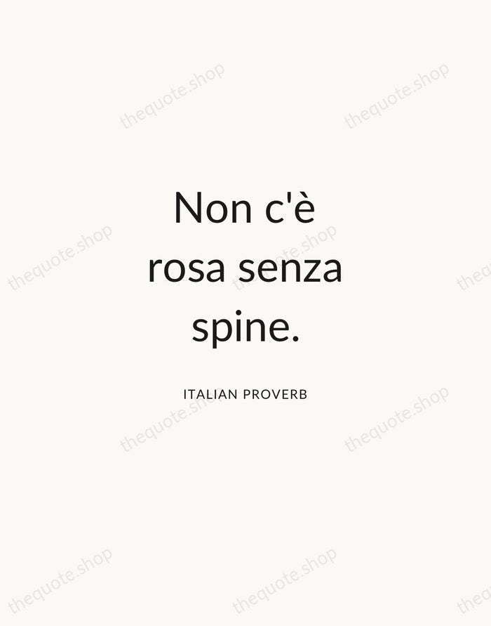 Non c'è rosa senza spine. — Italian Proverb — Modern Sans Calm