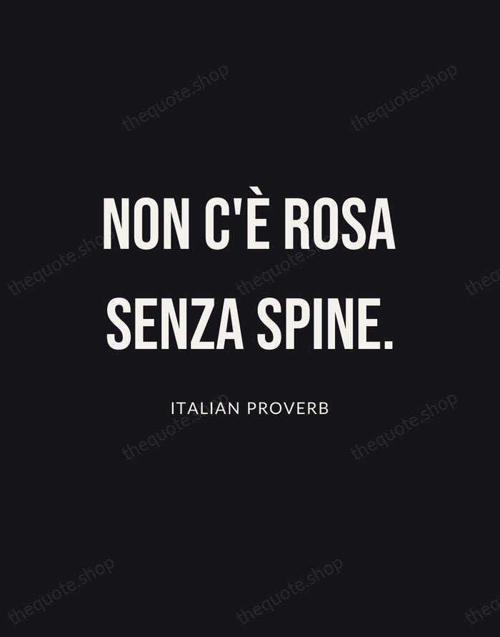 Non c'è rosa senza spine. — Italian Proverb | Printable Wall Art — Poster Condensed