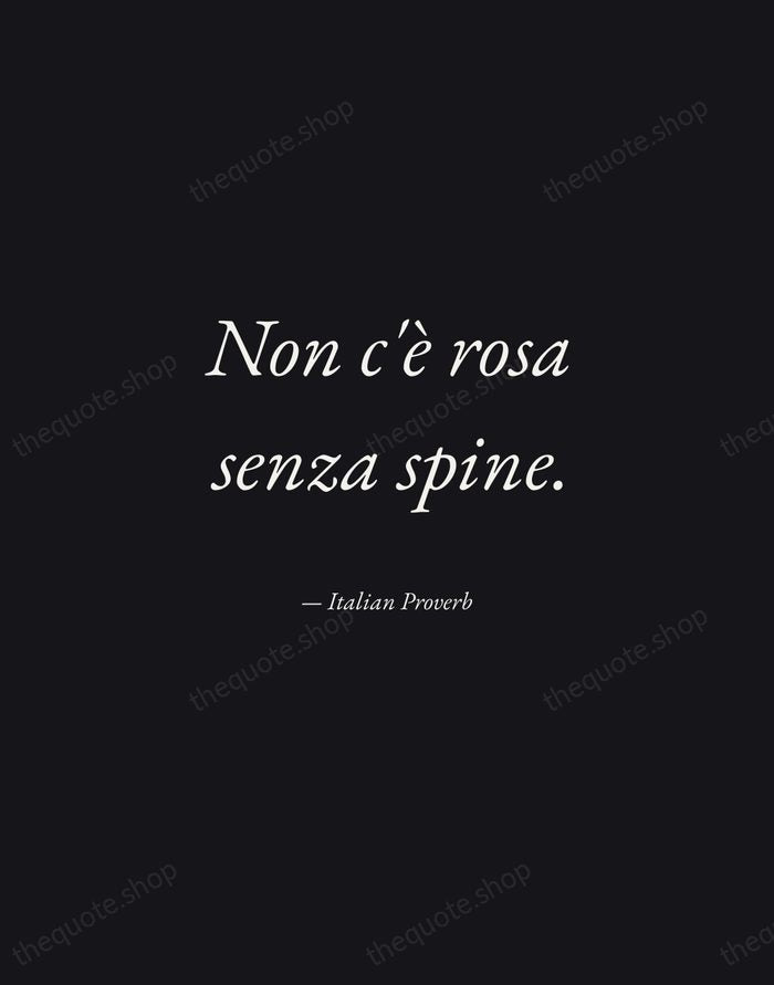 Non c'è rosa senza spine. — Italian Proverb — Manuscript Italic