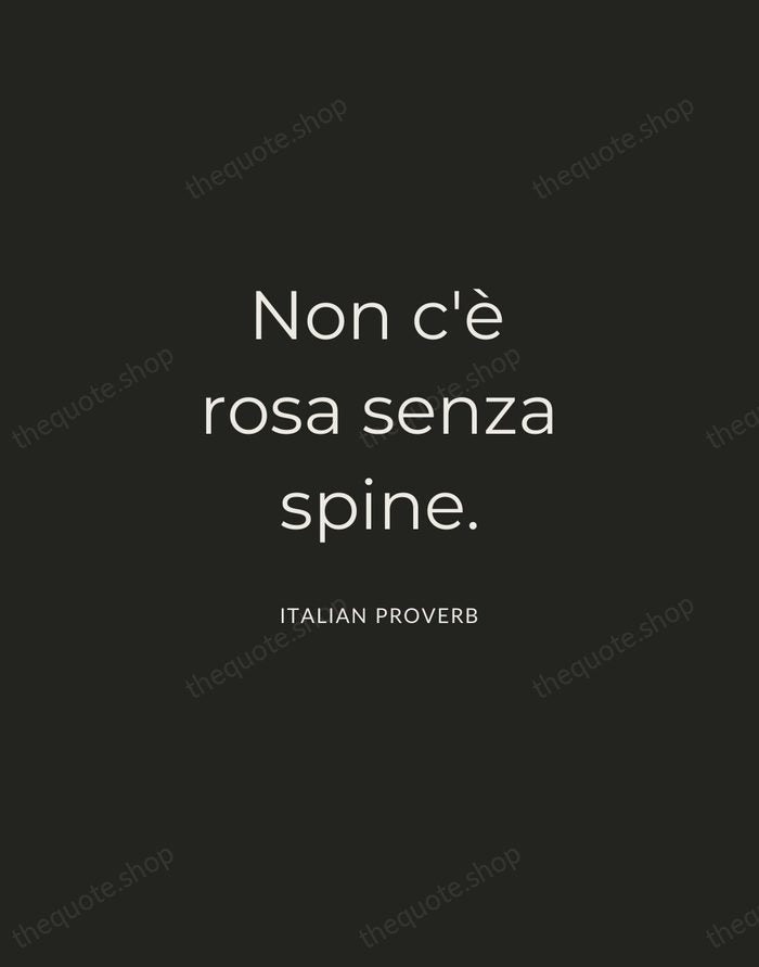 Non c'è rosa senza spine. — Italian Proverb — Charcoal Sans