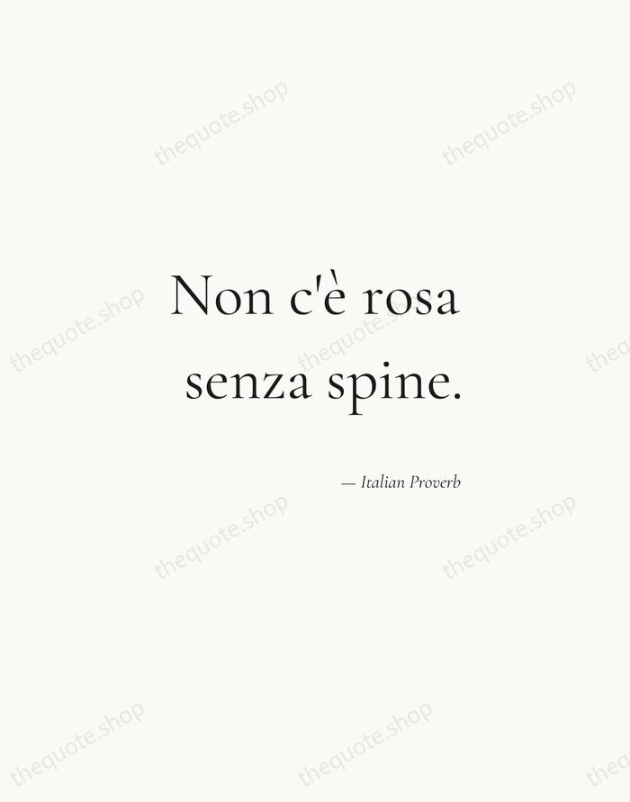 Non c'è rosa senza spine. — Italian Proverb — Soft Serif Right