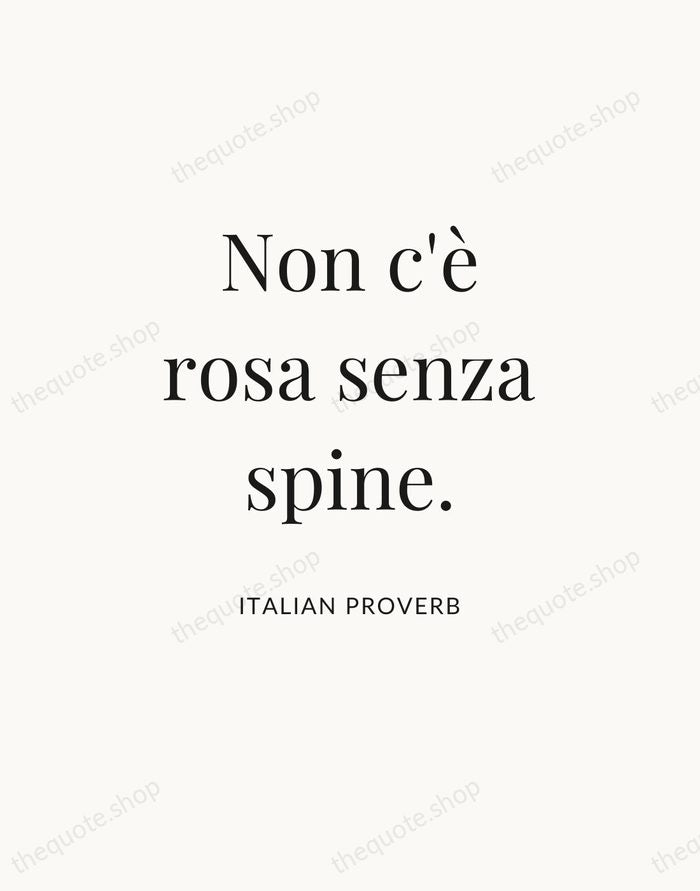 Non c'è rosa senza spine. — Italian Proverb — Statement Serif