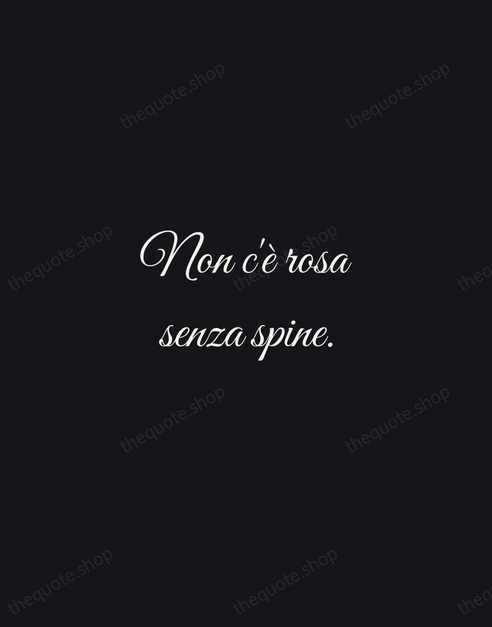 Non c'è rosa senza spine. — Italian Proverb — Night Script