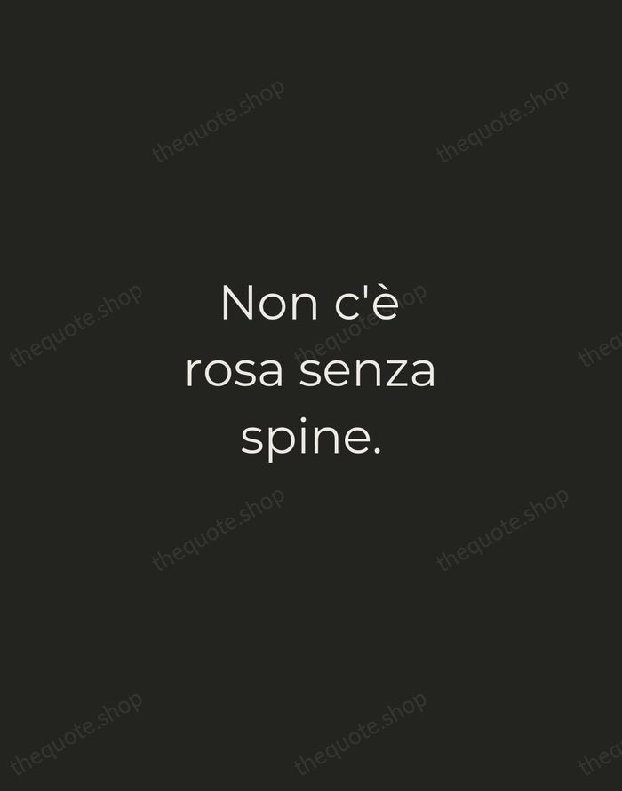 Non c'è rosa senza spine. — Italian Proverb — Tracked Caps Unsigned