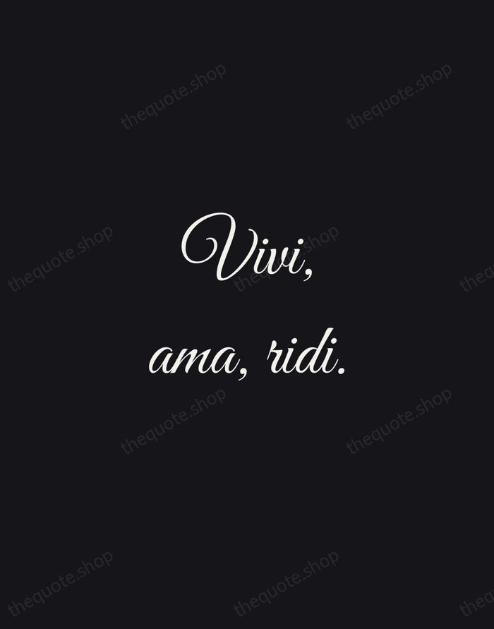 Vivi, ama, ridi. — Italian Proverb — Night Script