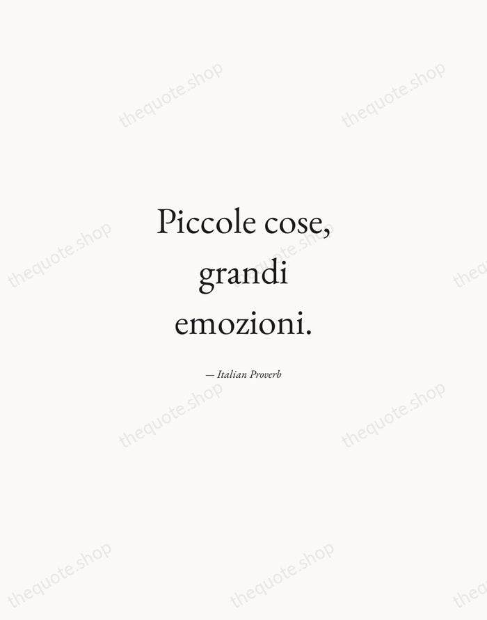 Piccole cose, grandi emozioni. — Italian Proverb — Quiet Garamond