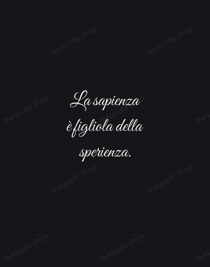 La sapienza è figliola della sperienza. — Leonardo da Vinci — Night Script
