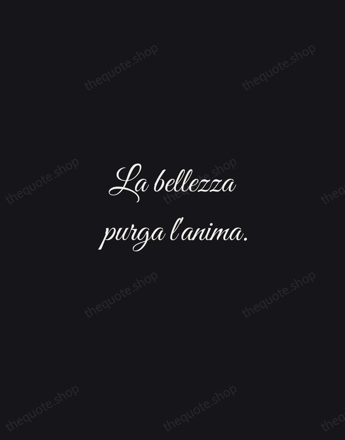 La bellezza purga l'anima. — Michelangelo Buonarroti — Night Script