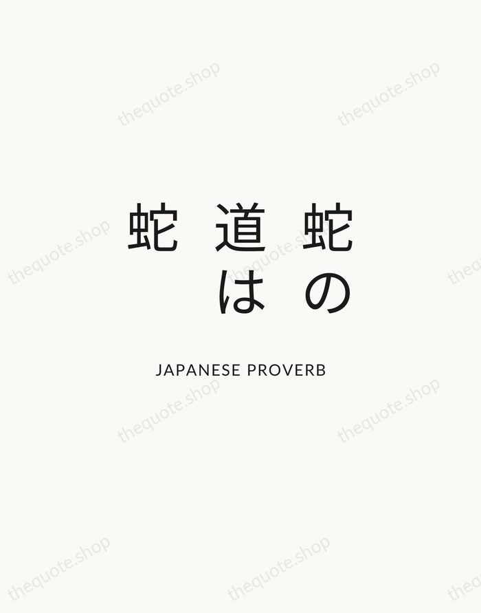 蛇の道は蛇 — Japanese Proverb — Modern Sans Calm