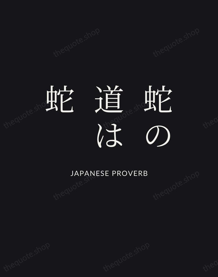 蛇の道は蛇 — Japanese Proverb | Printable Wall Art — Poster Condensed