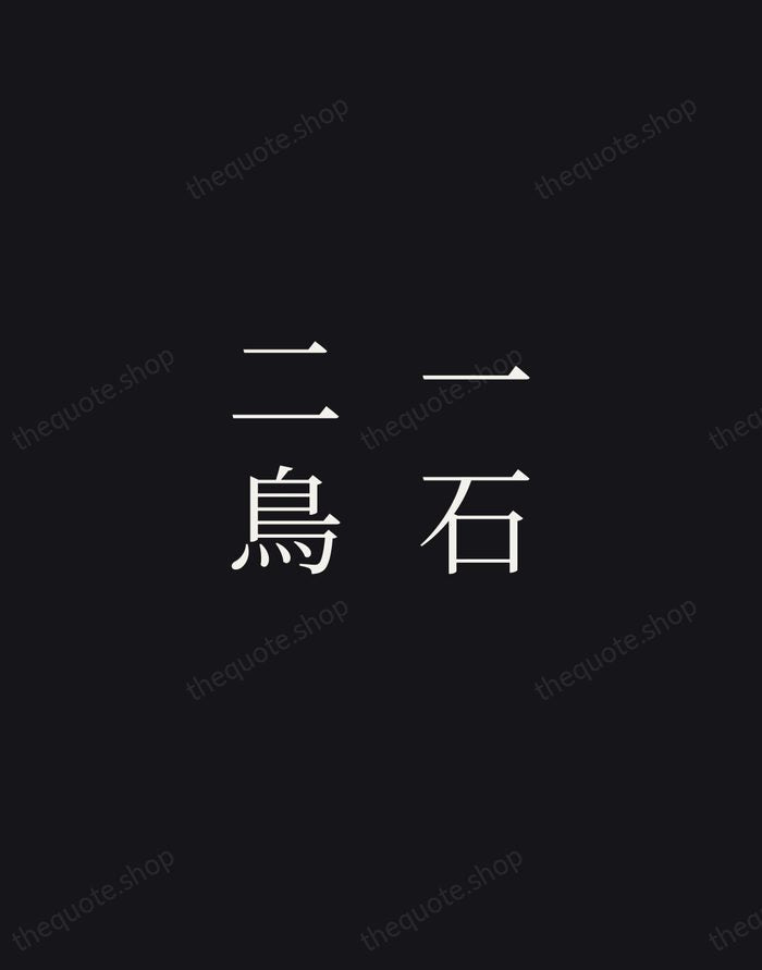 一石二鳥 — Japanese Proverb — Night Script