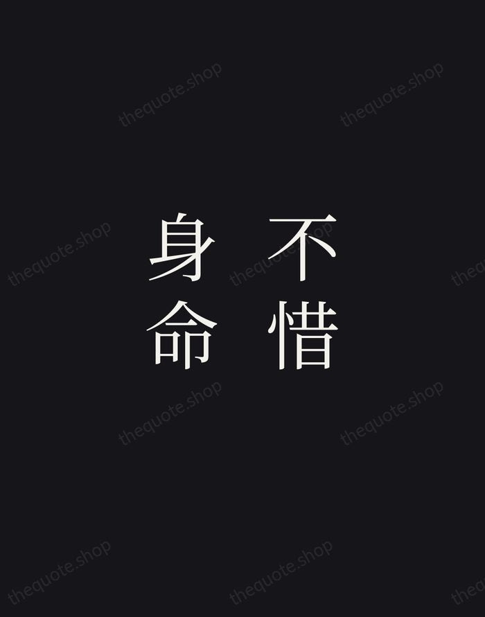 不惜身命 — Zen Proverb — Night Script
