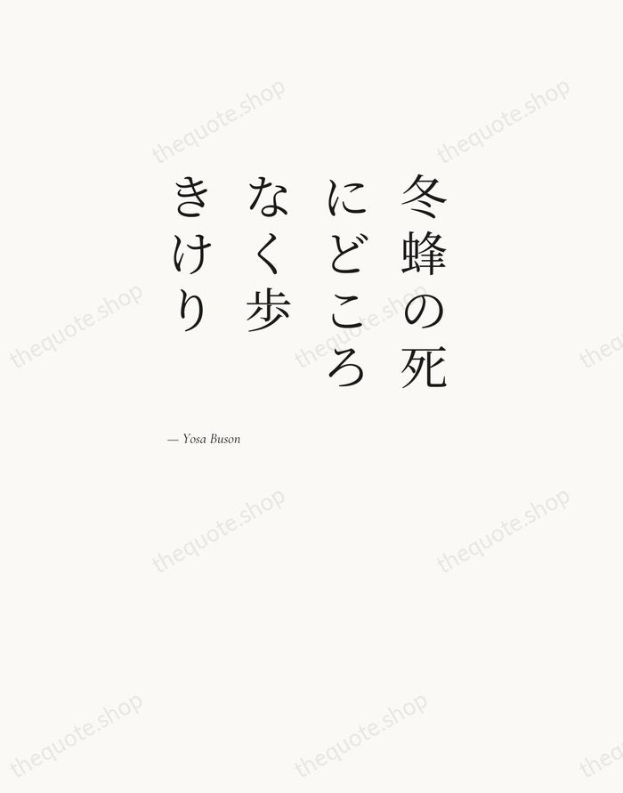 冬蜂の死にどころなく歩きけり — Yosa Buson — Editorial Left Serif