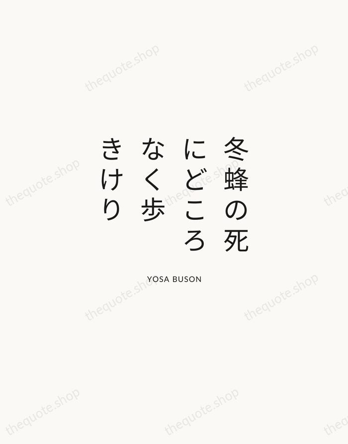 冬蜂の死にどころなく歩きけり — Yosa Buson — Modern Sans Calm