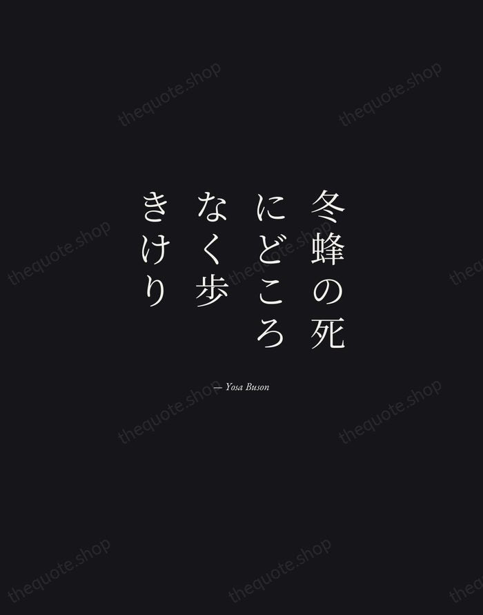冬蜂の死にどころなく歩きけり — Yosa Buson — Manuscript Italic