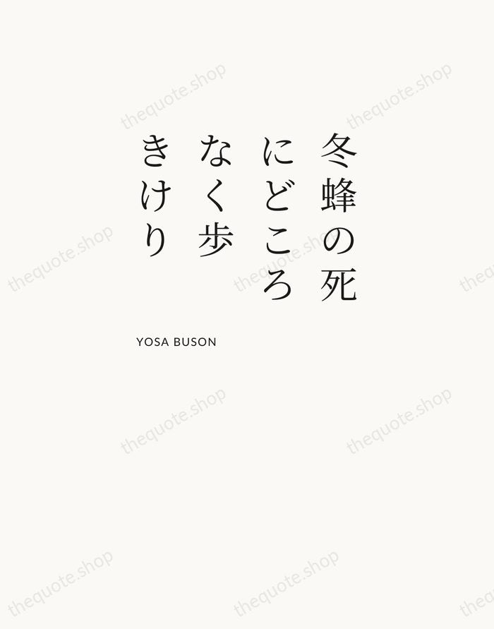 冬蜂の死にどころなく歩きけり — Yosa Buson — Asymmetric Left