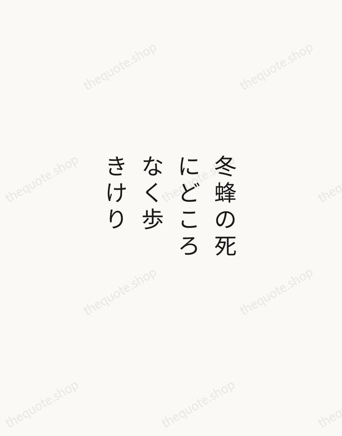 冬蜂の死にどころなく歩きけり — Yosa Buson — Minimal Unsigned