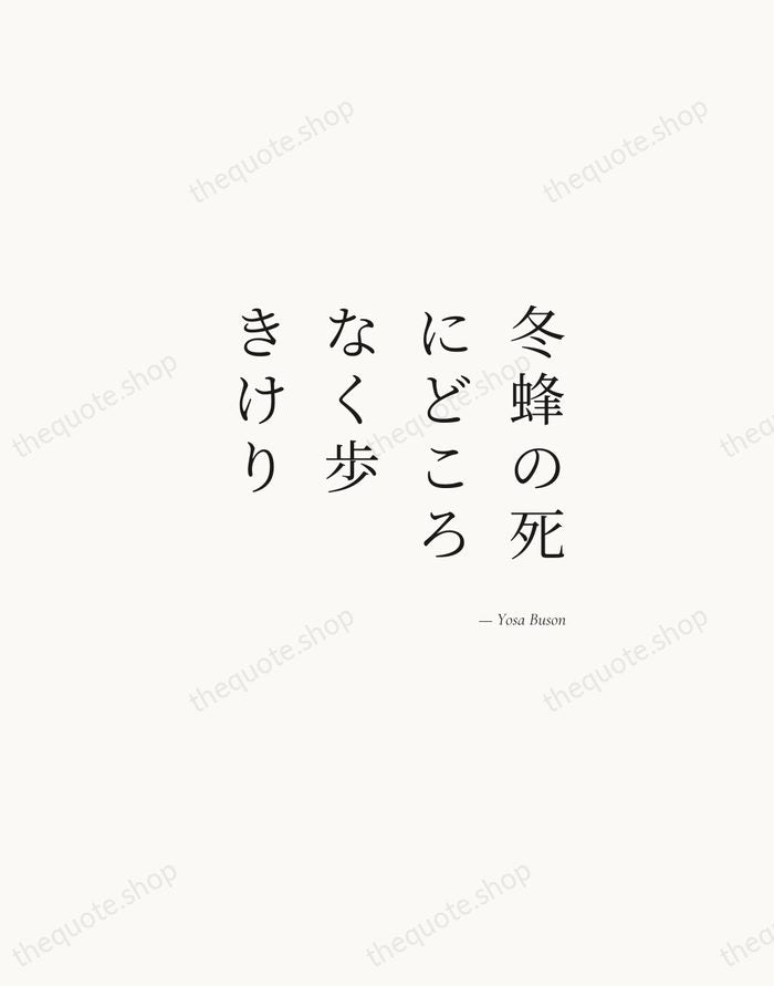 冬蜂の死にどころなく歩きけり — Yosa Buson — Soft Serif Right