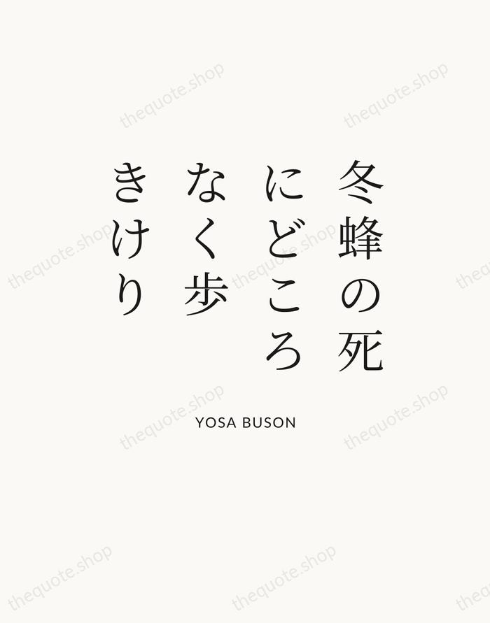 冬蜂の死にどころなく歩きけり — Yosa Buson — Statement Serif