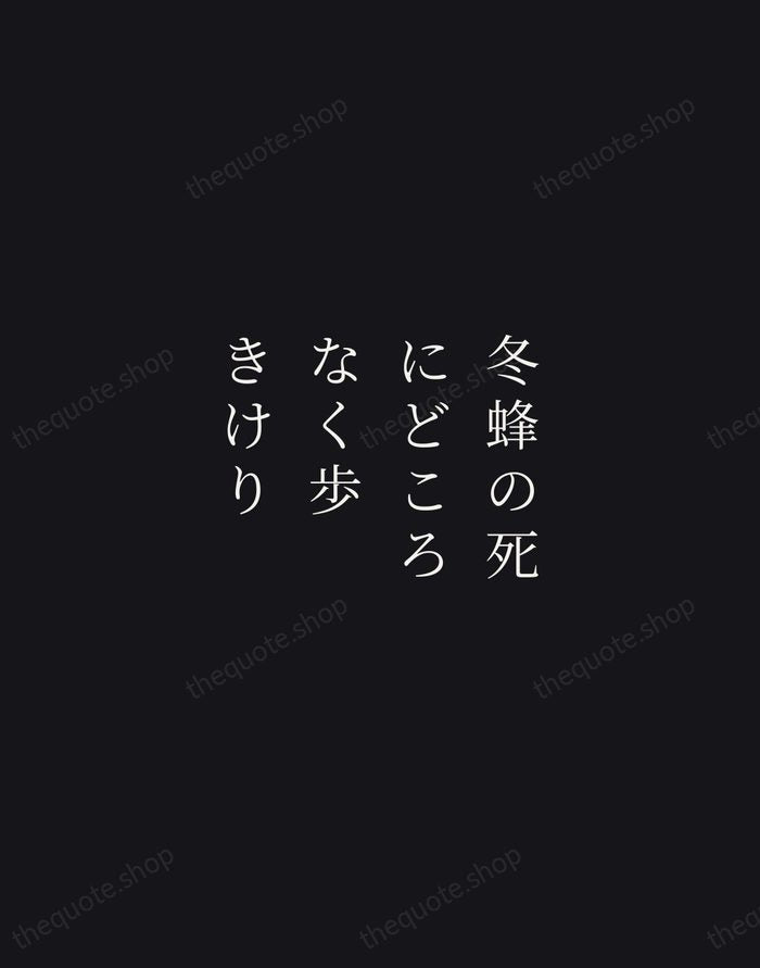 冬蜂の死にどころなく歩きけり — Yosa Buson — Night Script