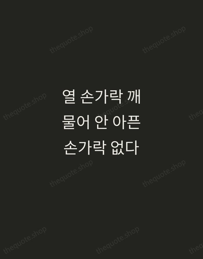 열 손가락 깨물어 안 아픈 손가락 없다 — Korean Proverb — Tracked Caps Unsigned