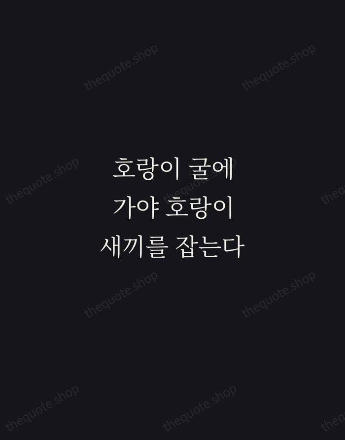 호랑이 굴에 가야 호랑이 새끼를 잡는다 — Korean Proverb — Night Script