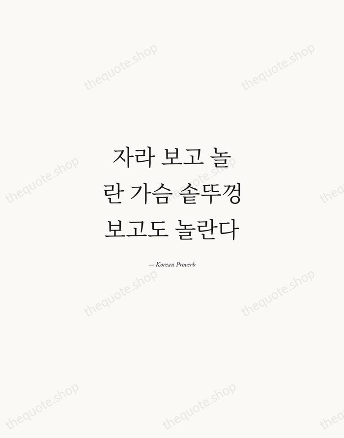 자라 보고 놀란 가슴 솥뚜껑 보고도 놀란다 — Korean Proverb — Quiet Garamond