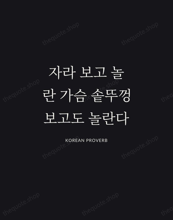자라 보고 놀란 가슴 솥뚜껑 보고도 놀란다 — Korean Proverb | Printable Wall Art — Midnight Serif