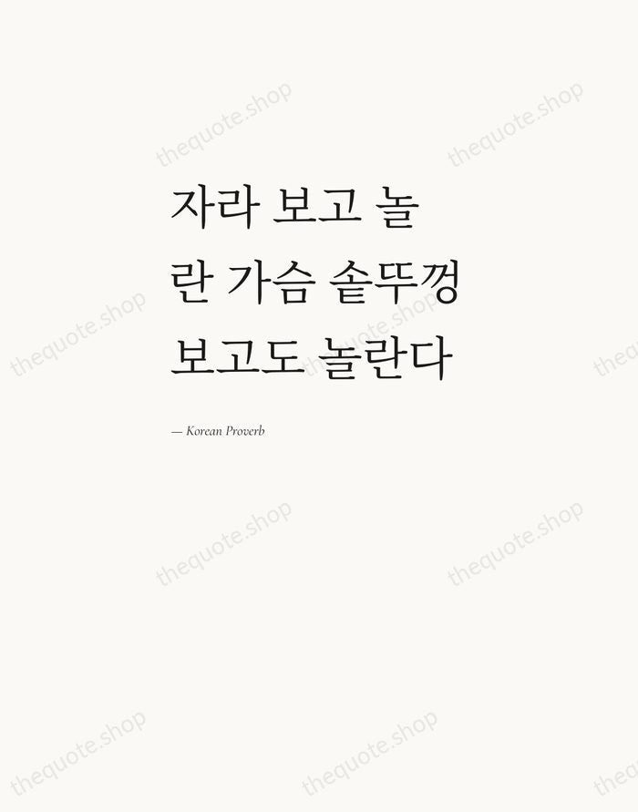 자라 보고 놀란 가슴 솥뚜껑 보고도 놀란다 — Korean Proverb — Editorial Left Serif
