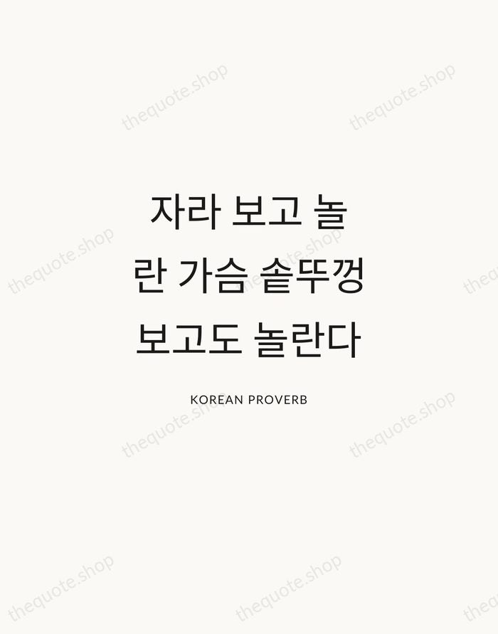 자라 보고 놀란 가슴 솥뚜껑 보고도 놀란다 — Korean Proverb — Modern Sans Calm