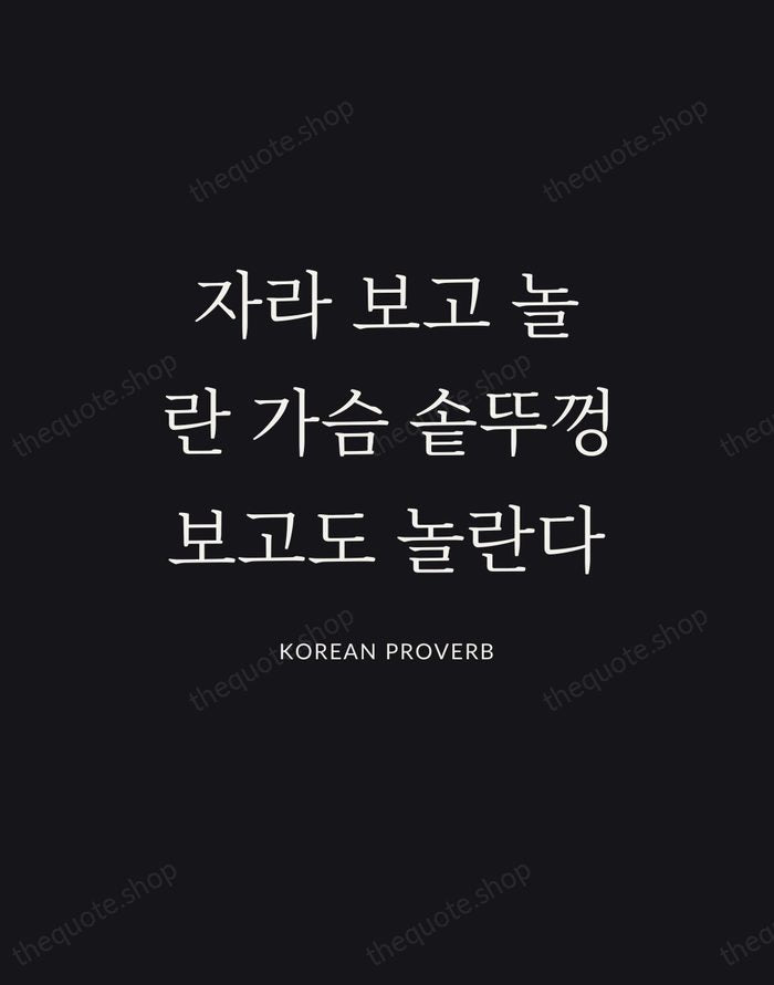 자라 보고 놀란 가슴 솥뚜껑 보고도 놀란다 — Korean Proverb | Printable Wall Art — Poster Condensed