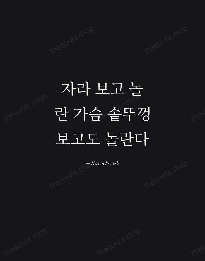 자라 보고 놀란 가슴 솥뚜껑 보고도 놀란다 — Korean Proverb — Manuscript Italic