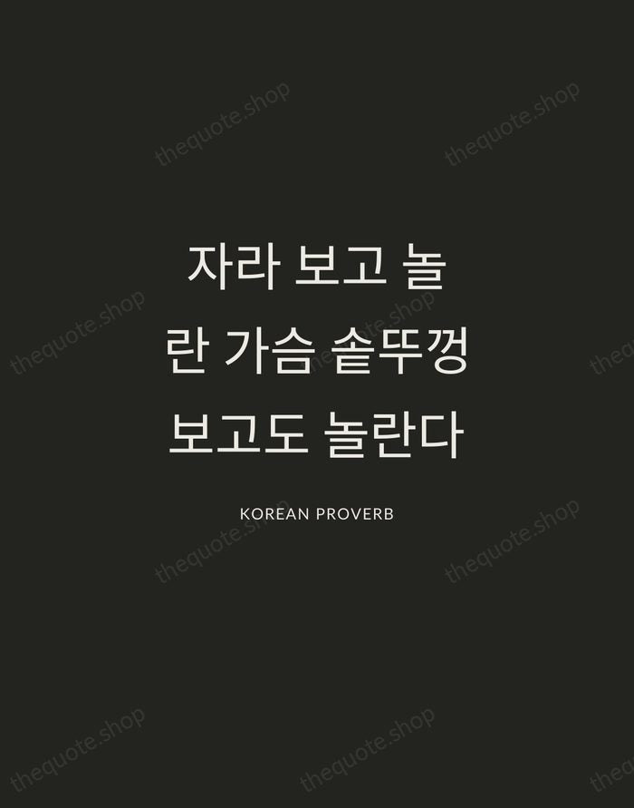 자라 보고 놀란 가슴 솥뚜껑 보고도 놀란다 — Korean Proverb — Charcoal Sans