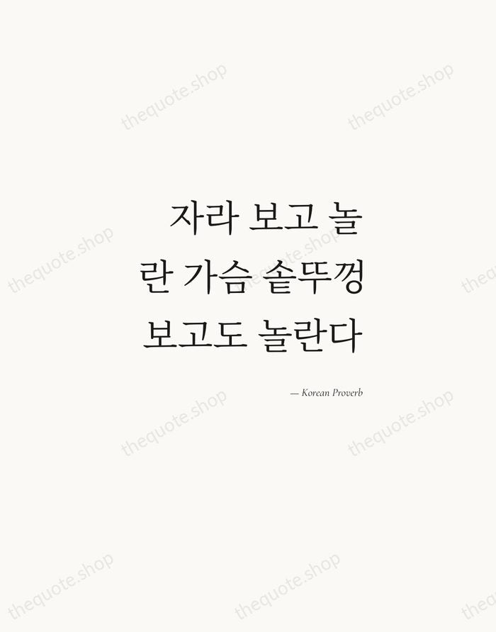 자라 보고 놀란 가슴 솥뚜껑 보고도 놀란다 — Korean Proverb — Soft Serif Right