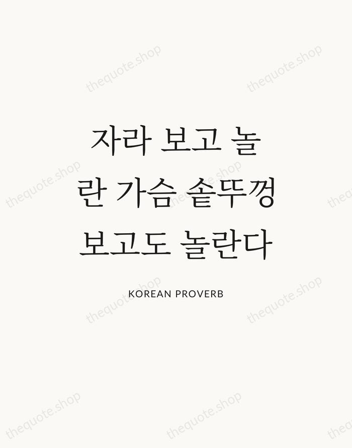 자라 보고 놀란 가슴 솥뚜껑 보고도 놀란다 — Korean Proverb — Statement Serif