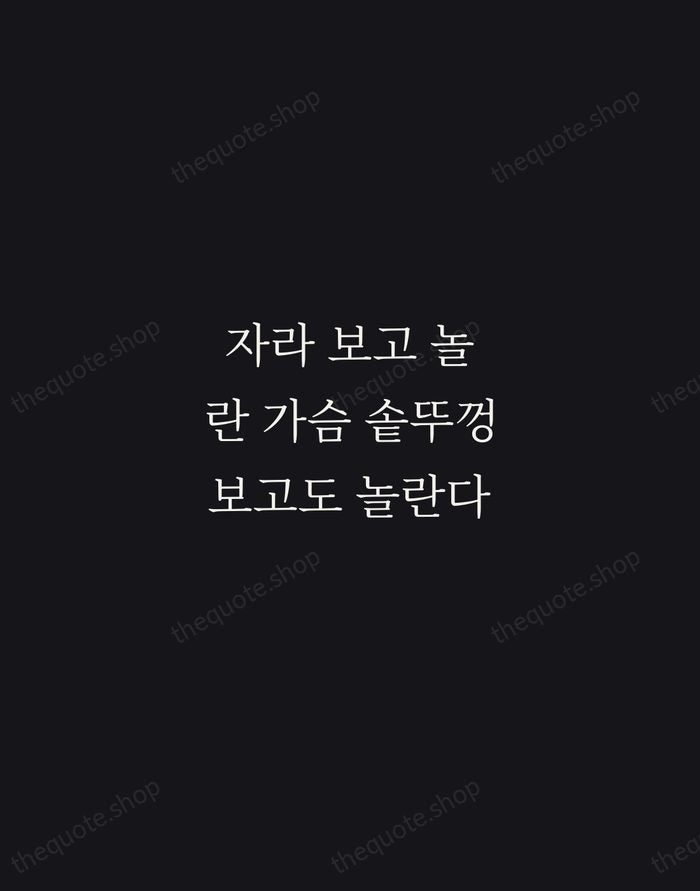 자라 보고 놀란 가슴 솥뚜껑 보고도 놀란다 — Korean Proverb — Night Script