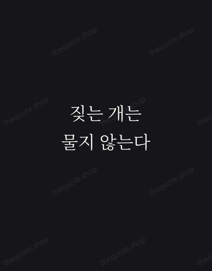 짖는 개는 물지 않는다 — Korean Proverb — Night Script