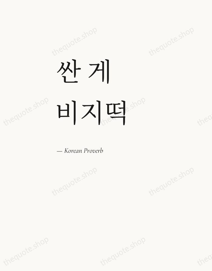 싼 게 비지떡 — Korean Proverb — Editorial Left Serif