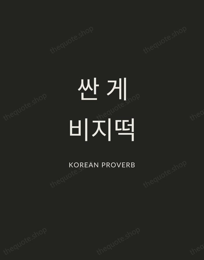 싼 게 비지떡 — Korean Proverb — Charcoal Sans
