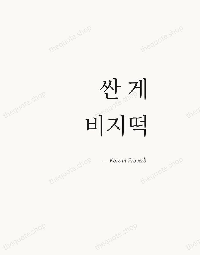 싼 게 비지떡 — Korean Proverb — Soft Serif Right