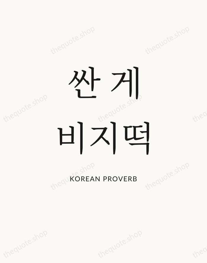 싼 게 비지떡 — Korean Proverb — Statement Serif