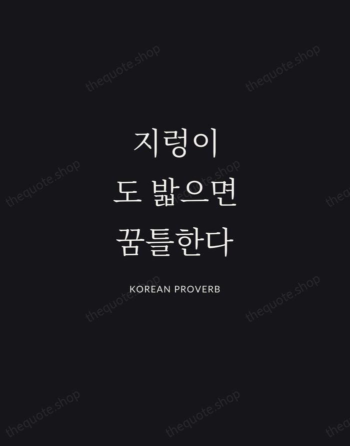 지렁이도 밟으면 꿈틀한다 — Korean Proverb | Printable Wall Art — Midnight Serif