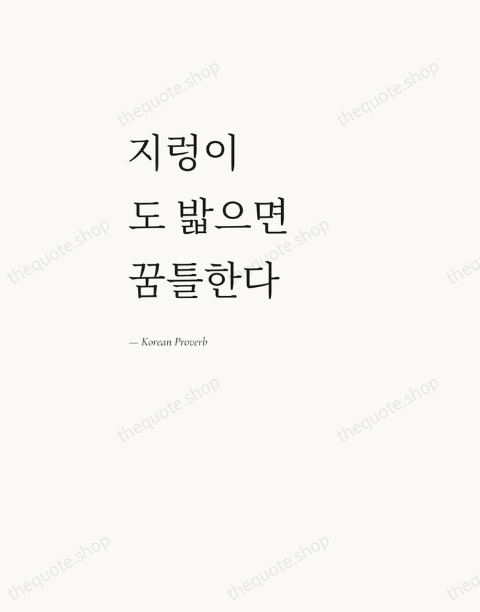 지렁이도 밟으면 꿈틀한다 — Korean Proverb — Editorial Left Serif