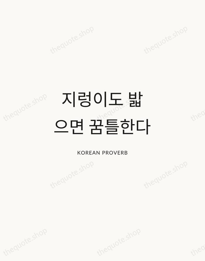 지렁이도 밟으면 꿈틀한다 — Korean Proverb — Modern Sans Calm