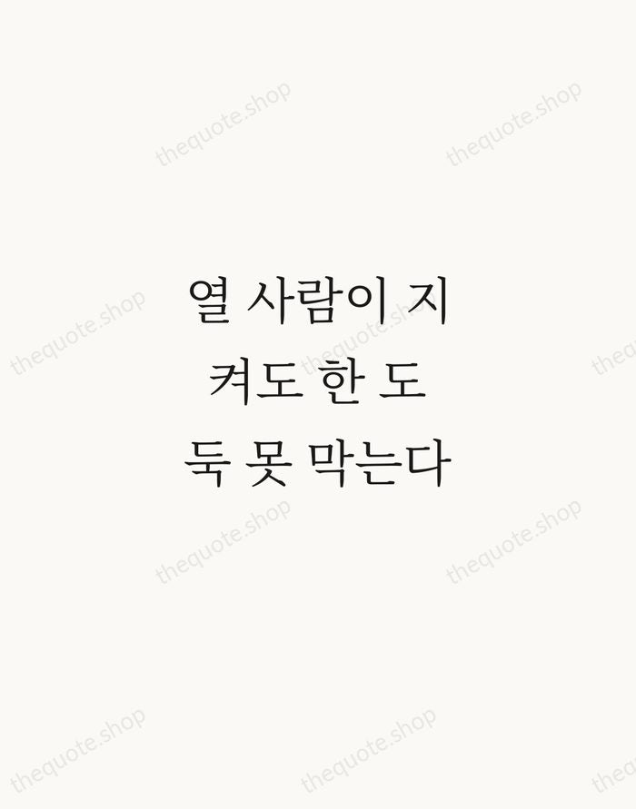 열 사람이 지켜도 한 도둑 못 막는다 — Korean Proverb — Script Whisper