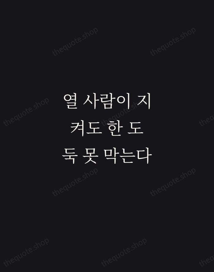 열 사람이 지켜도 한 도둑 못 막는다 — Korean Proverb — Night Script
