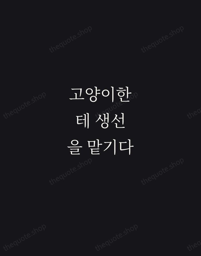 고양이한테 생선을 맡기다 — Korean Proverb — Night Script